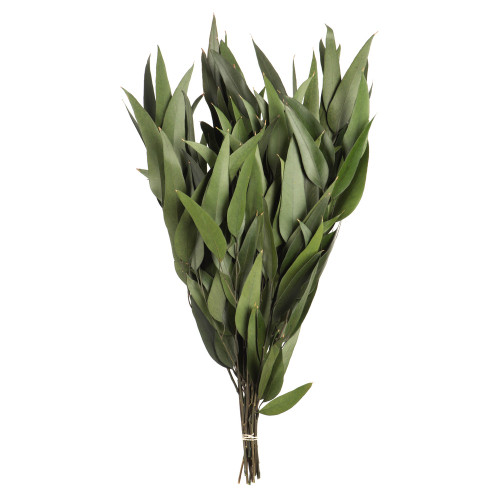 Vickerman H1WIL150 18" Green Willow Eucalyptus 5oz Bundle 