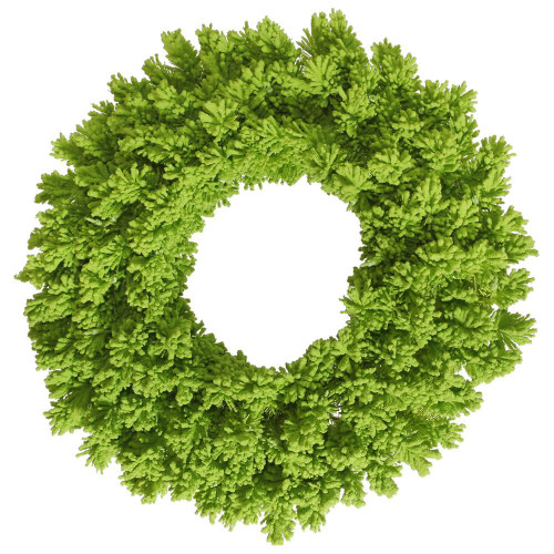 Vickerman K168630 - 30" Flocked Lime Fir Wreath