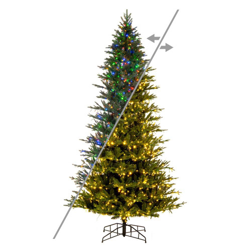 Vickerman K184193LEDCC 12ft Kamas Fraser Fir Christmas Tree with Lights