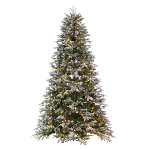 Vickerman K224668LED - 6.5 ft Frosted Douglas Prelit Warm White LED Christmas Tree