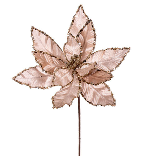  Vickerman RG221338 24" Champagne Velvet Poinsettia Spray 