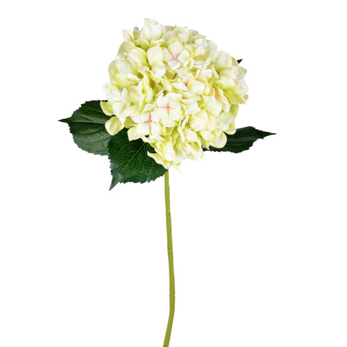 Vickerman FD190473 33" Light Green Hydrangea Spray 2/pk 