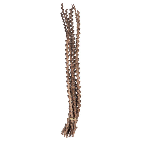 Vickerman H2LAD000 32-36" Natural Ladder Branches - 7/Pk 