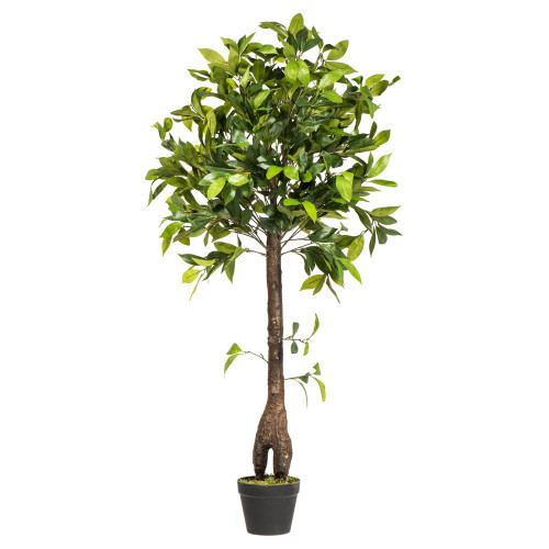  Vickerman T161250 50" Artificial Camellia Tree in Pot in Pot 