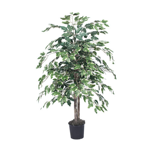  Vickerman TBU0240-06 4ft Artificial Variegated Ficus Bush 