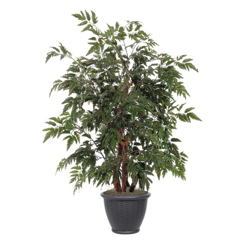  Vickerman TBU0640-RG 4ft Artificial Ming Aralia Bush in Gray Pot 