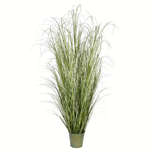  Vickerman TD190572 6ft Native Green Grass In Iron Pot 