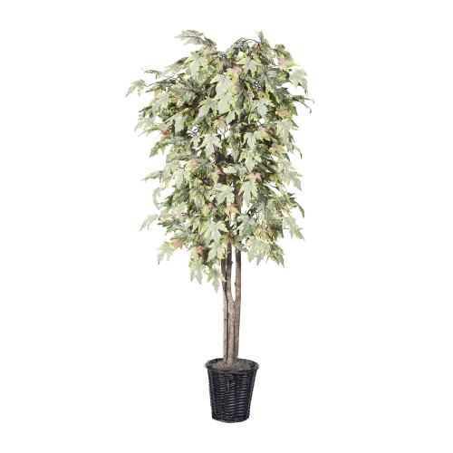  Vickerman TDX1760 6ft Artificial Frosted Maple Tree in Pot 