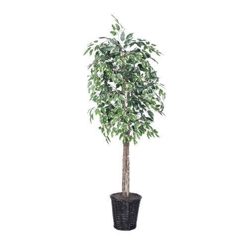  Vickerman TEC0260 6ft Variegated Artificial Ficus Tree in Pot 