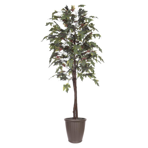  Vickerman TEC1760-RB 6ft Artificial Frosted Maple Tree in Pot 