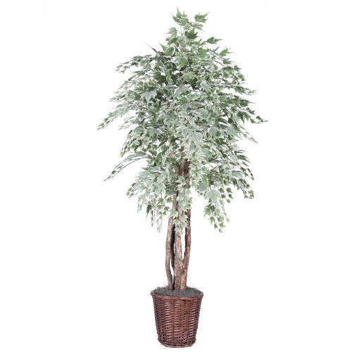  Vickerman TEX1660 6ft Artificial Silver Maple Tree in Pot 