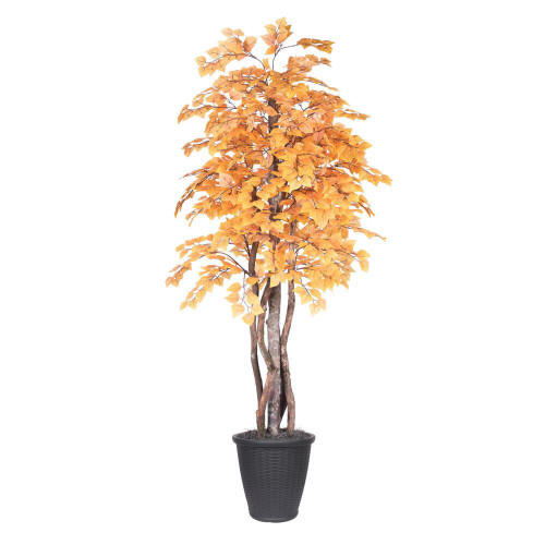  Vickerman TEX2260-RG 6ft Artificial Golden Aspen Executive Tree in Gray Pot 