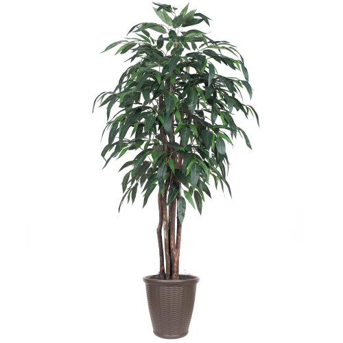  Vickerman TEX2860-RB 6ft Artificial Mango Tree in Brown Pot 