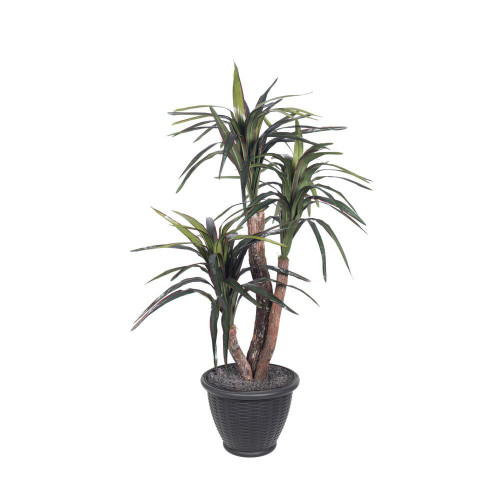  Vickerman TXX1140-RG 4ft Artificial Marginata Bush in Gray Pot 