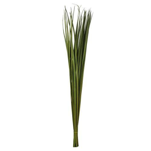  Vickerman H2SAG150 36-40" Natural Dried Green Sable Grass 