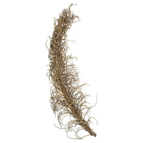 Vickerman H2MEM000 36-40" Natural Medusa Branch - Medium 