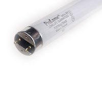 Halco 109404 - F32 T8 Fluorescent Tube - 5000K - 86 CRI 32W 