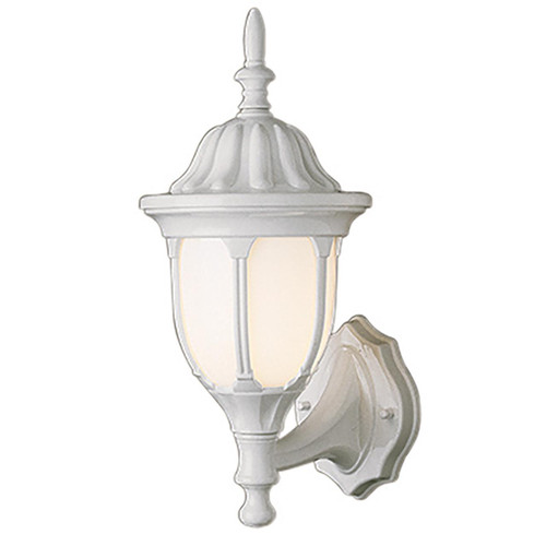 Trans Globe 4040 WH Hamilton 1-Light Opal Glass Traditional Outdoor Wall Lantern 