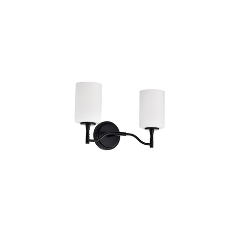 Satco 60-8212 - Liam 2-Light Bathroom Vanity - Matte Black - Damp Rated 