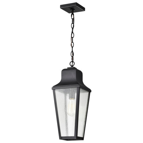 Satco 60-8135 - Lawrence 1-Light Hanging Lantern - Matte Black - Damp Rated 