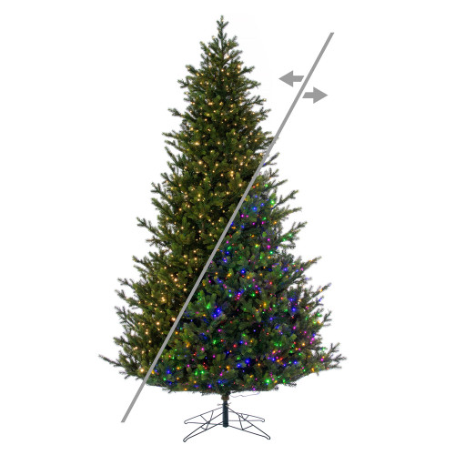 Vickerman G183283LEDCC - 8.5 ft Welch Frasier Fir Prelit Color Changing LED Christmas Tree