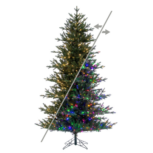Vickerman G250683LEDCC - 9 ft Colorado Blue Fir Prelit Color Changing LED Christmas Tree