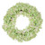 Vickerman FR250504 - 20" Real Touch Green Hydrangea Wreath