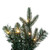 Vickerman G183328LEDCC - 26" Welch Fraser Fir Wreath with Color Changing LED Lights