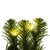 Vickerman G237037LED - 36" Deluxe Sequoia Pine Wreath with Warm White LED Lights 