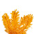 Vickerman K237236 - 36" Flocked Yellow Wreath