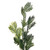 Vickerman RMA250328 - 28" Green Douglas Fir Wreath