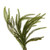 Vickerman RS240524 - 24" Green Norfolk Pine Heart Wreath Jute 