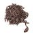 Vickerman X6B66101STR - Warm White LED Coaxial Christmas Light String - 100 Lights - Brown Wire