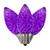 Vickerman XRETC906T-25 - C9 Retro Faceted Purple Twinkle LED Replacement Bulb - 25 Pack