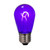 Vickerman XS14TU06-10 - S14 Transparent Purple LED Replacement Bulb - 10 Pack 