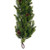 Vickerman EH232312 - 12 in. Green 6 ft Butterfly Christmas Garland - Unlit Artificial Spray 