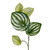 Vickerman FTL250572UV - 6 ft Green Watermelon Peperomia Christmas Garland - Unlit 