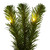 Vickerman G237021LED - 9 ft Green Deluxe Sequoia Pine Christmas Garland - Warm White LED