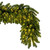 Vickerman G237025LED - 9 ft Green Deluxe Sequoia Pine Christmas Garland - Warm White LED