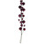 Vickerman N250119 - 6 ft Wine Matte Shiny Pearl Ball Christmas Garland - Unlit
