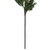 Vickerman EH237330 - 30 in. Green Cedar Fern Artificial Spray - 2 Pack 