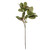 Vickerman FA240735 - 35 in. Green Magnolia Branch Artificial Spray - 2 Pack