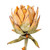 Vickerman FM239739 - 37 in. Orange Dried Protea Stem Artificial Spray - 2 Pack