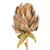 Vickerman FM239740 - 42.5 in. Brown Dried Protea Stem Artificial Spray - 2 Pack 