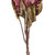 Vickerman FMA230103 - 30.5 in. Light Red Dried Protea Stem Artificial Spray - 2 Pack