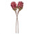 Vickerman FMA230103 - 30.5 in. Light Red Dried Protea Stem Artificial Spray - 2 Pack 