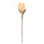 Vickerman FMA230110 - 30.5 in. Cream Dried Protea Stem Artificial Spray - 2 Pack