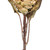 Vickerman FMA230110 - 30.5 in. Cream Dried Protea Stem Artificial Spray - 2 Pack
