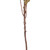 Vickerman FMA230118 - 30.5 in. Light Orange Dried Protea Stem Artificial Spray - 2 Pack 