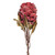 Vickerman FMA230203 - 22 in. Light Red Dried Ginger Stem Artificial Spray - 3 Pack 